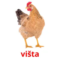 višta Bildkarteikarten