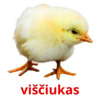 viščiukas card for translate