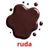 ruda picture flashcards