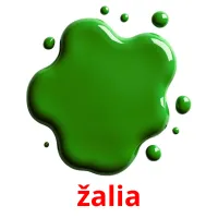 žalia flashcards illustrate