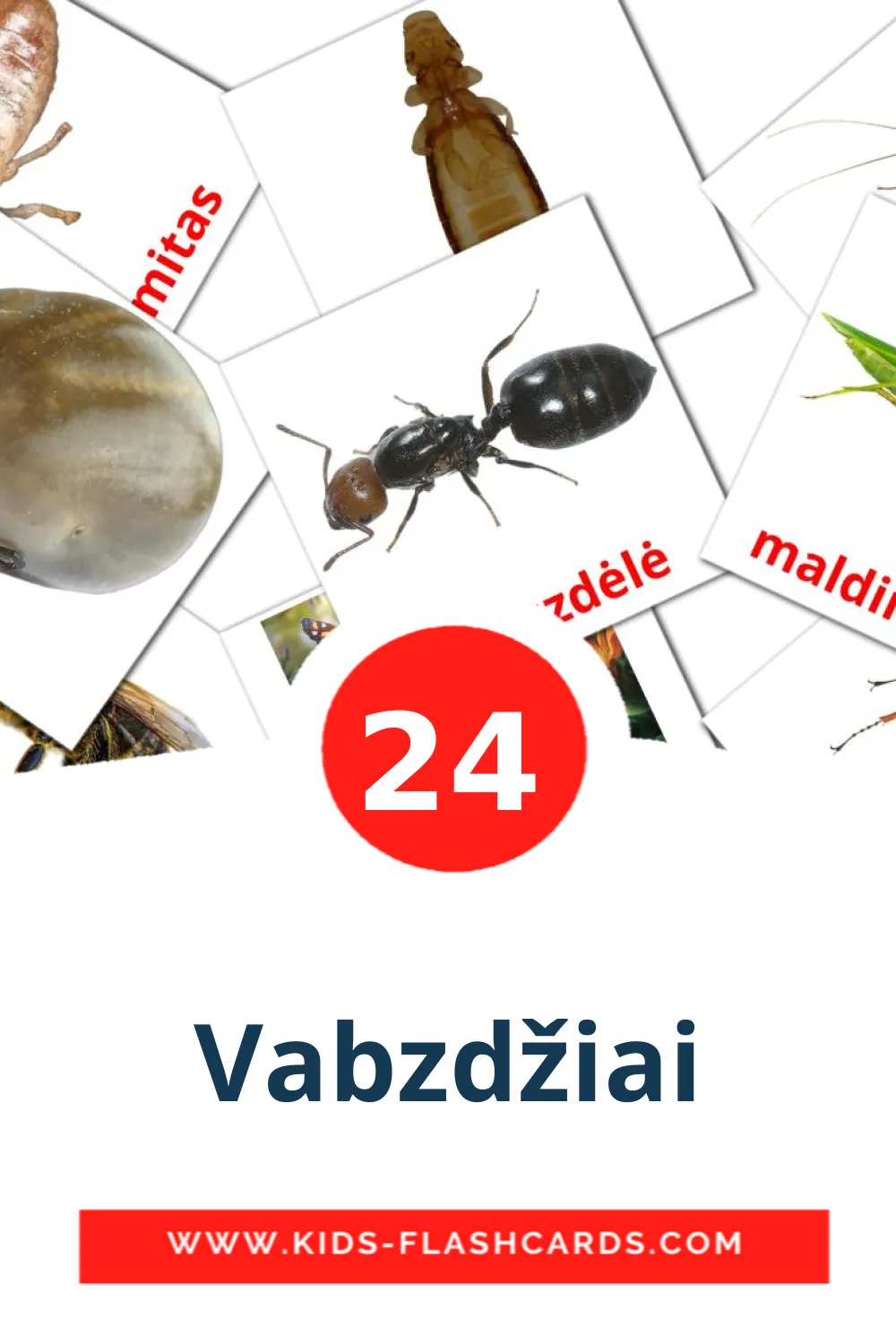 24 cartes illustrées de Vabzdžiai pour la maternelle en литовском