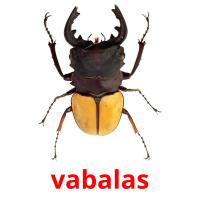vabalas card for translate