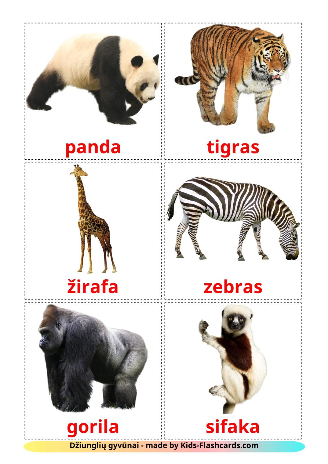 Jungle animals - 21 Free Printable lithuanian Flashcards 