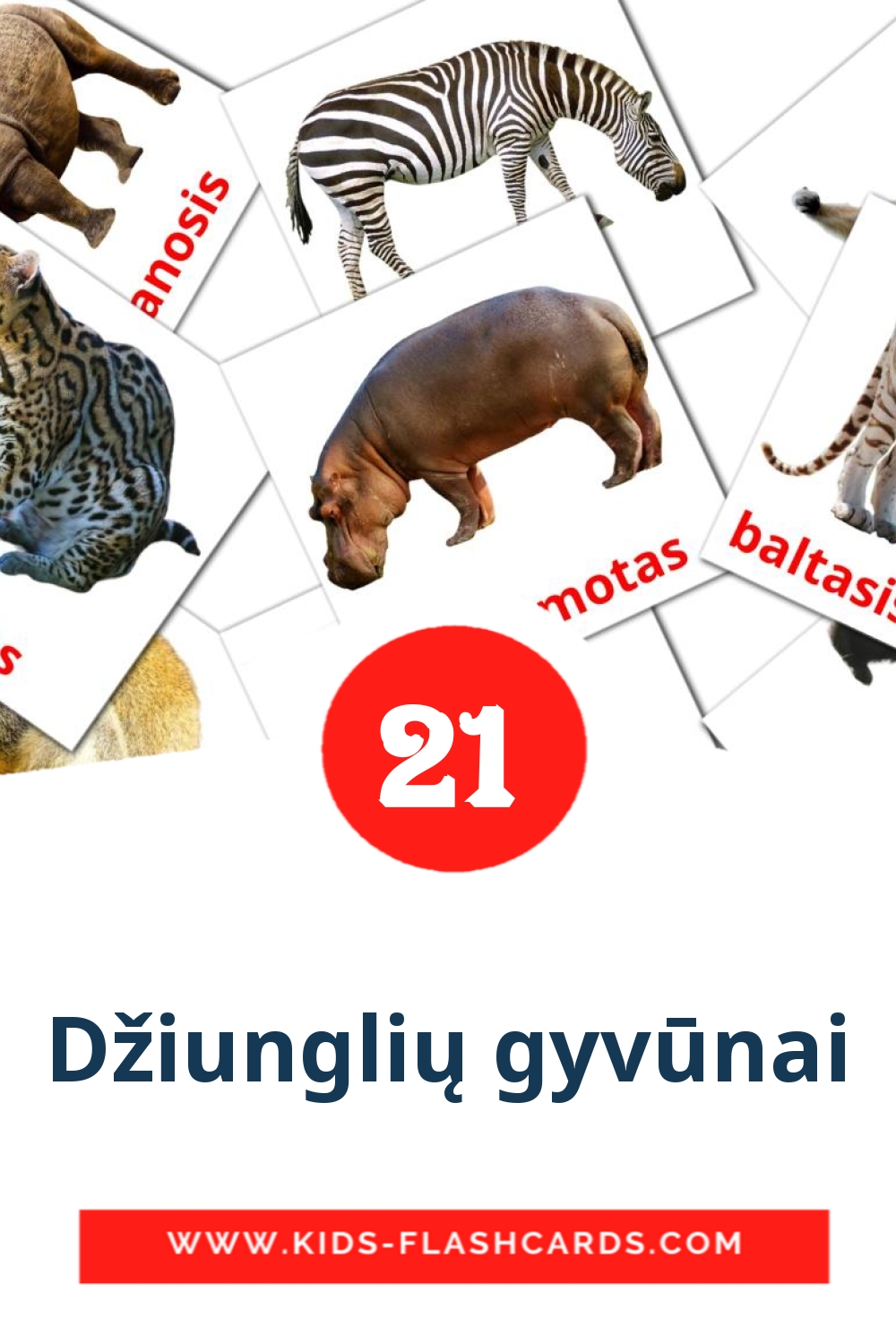 21 Džiunglių gyvūnai Picture Cards for Kindergarden in lithuanian