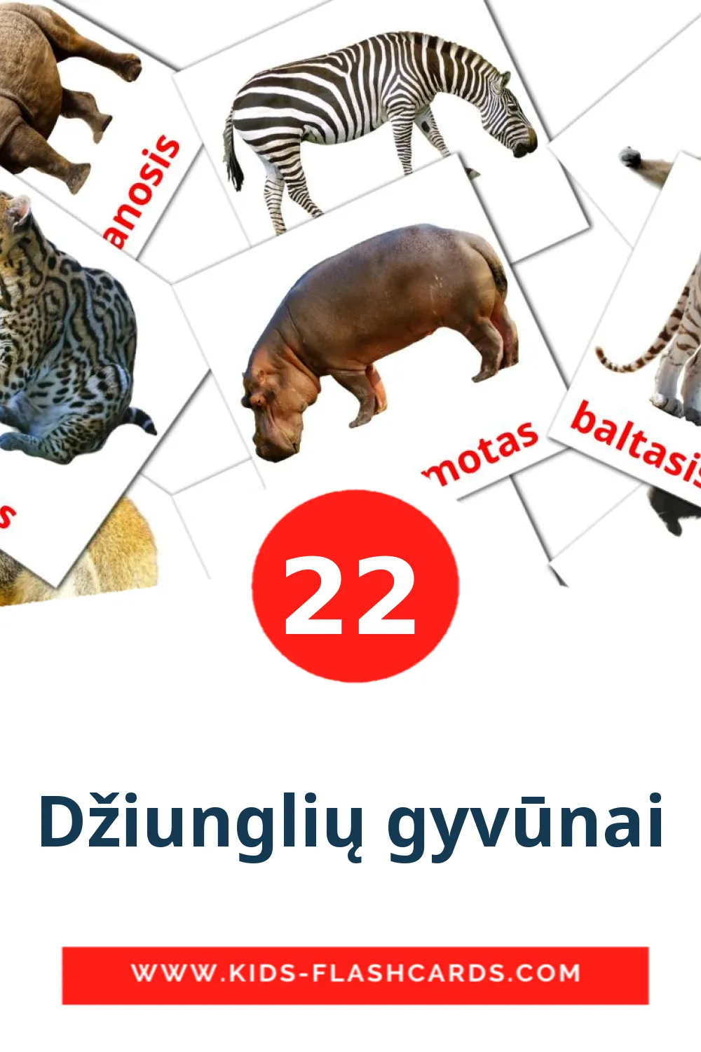 22 tarjetas didacticas de Džiunglių gyvūnai para el jardín de infancia en lituano