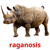 raganosis card for translate