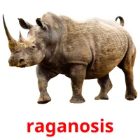 raganosis Tarjetas didacticas