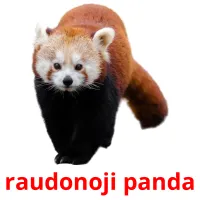 raudonoji panda Tarjetas didacticas