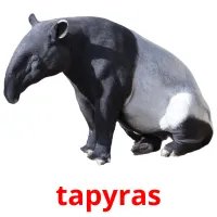 tapyras Tarjetas didacticas