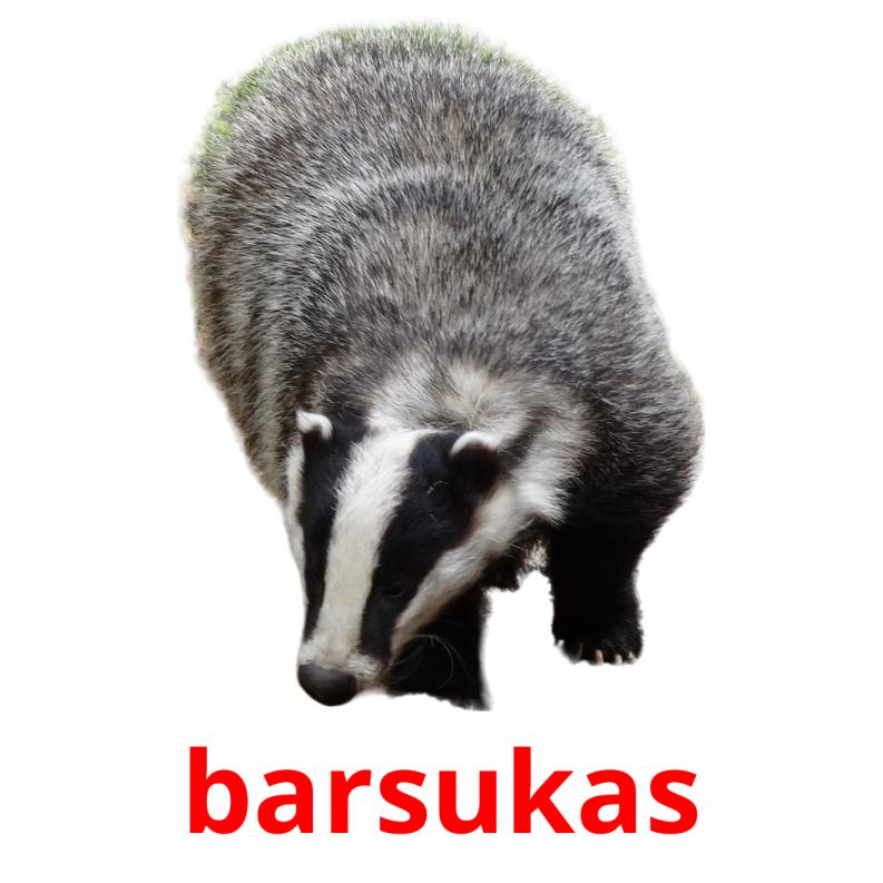 barsukas picture flashcards