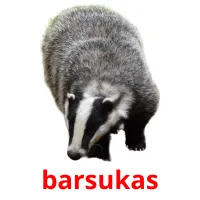 barsukas cartões com imagens