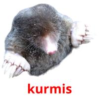 kurmis card for translate