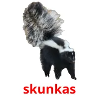 skunkas cartões com imagens