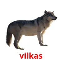 vilkas cartões com imagens