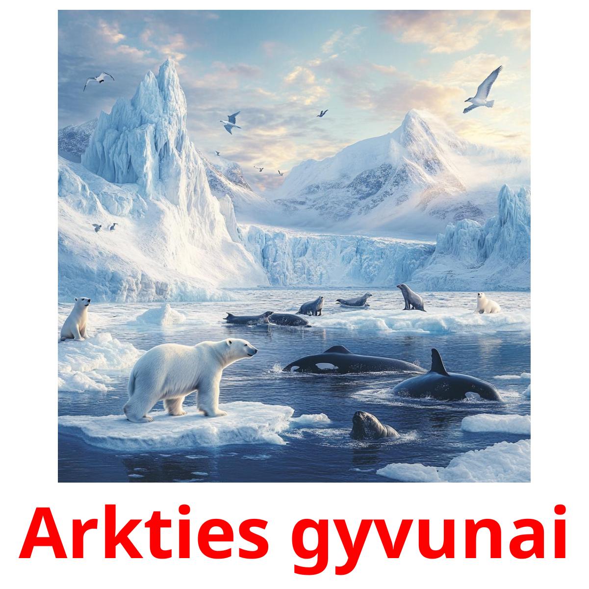 Arkties gyvunai cartões com imagens