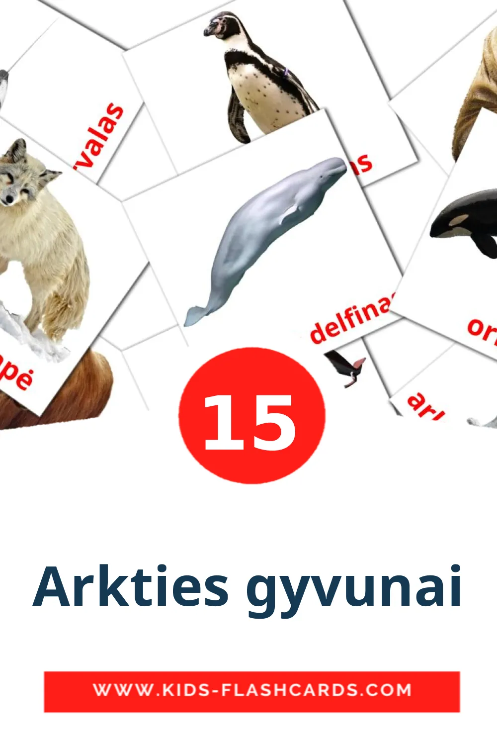 Arkties gyvunai на литовском для Детского Сада (15 карточек)