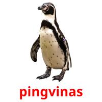 pingvinas Tarjetas didacticas