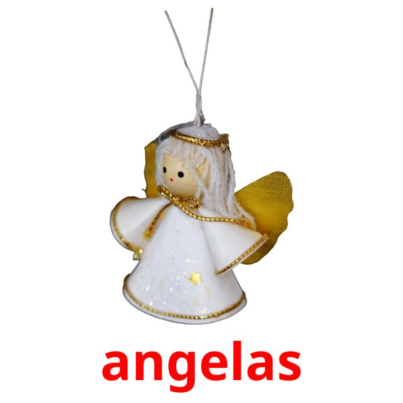 angelas picture flashcards