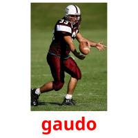 gaudo picture flashcards