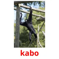 kabo cartões com imagens