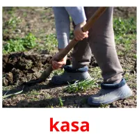 kasa cartões com imagens