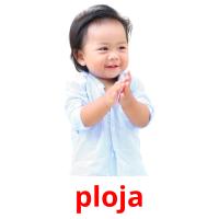 ploja card for translate