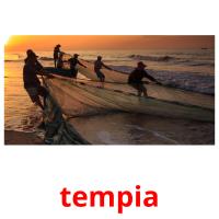 tempia picture flashcards