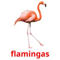 flamingas card for translate