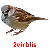 žvirblis card for translate
