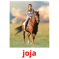 joja picture flashcards