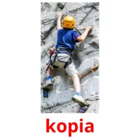 kopia picture flashcards