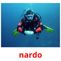 nardo cartões com imagens