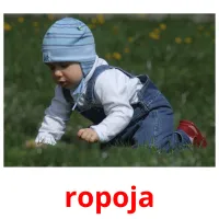 ropoja picture flashcards