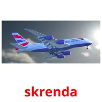 skrenda picture flashcards