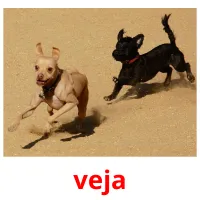 veja picture flashcards