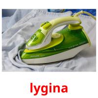 lygina flashcards illustrate