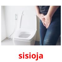 sisioja picture flashcards