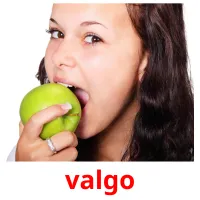 valgo cartões com imagens