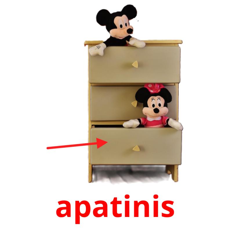 apatinis picture flashcards
