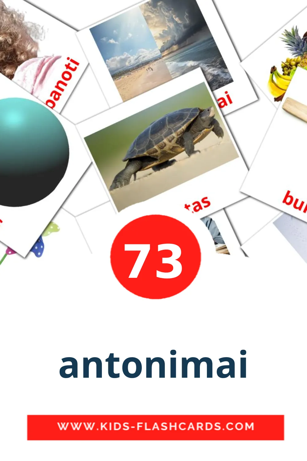 73 antonimai Picture Cards for Kindergarden in lithuanian