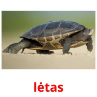 lėtas picture flashcards