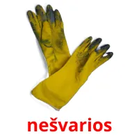 nešvarios picture flashcards