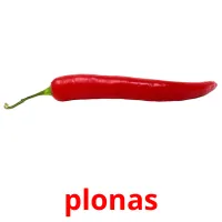 plonas picture flashcards