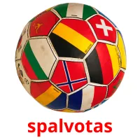 spalvotas picture flashcards