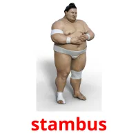 stambus cartões com imagens