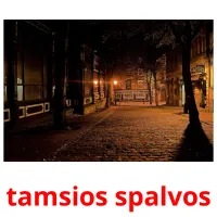 tamsios spalvos picture flashcards