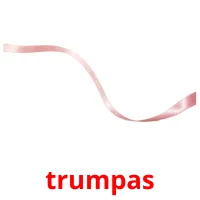 trumpas picture flashcards