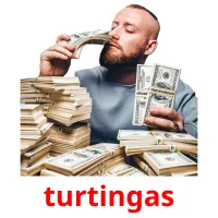 turtingas picture flashcards