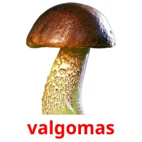 valgomas picture flashcards