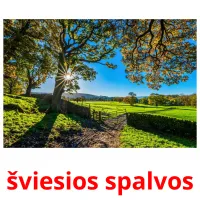 šviesios spalvos cartões com imagens